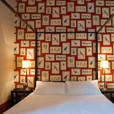 Guest house Black 5 Florence