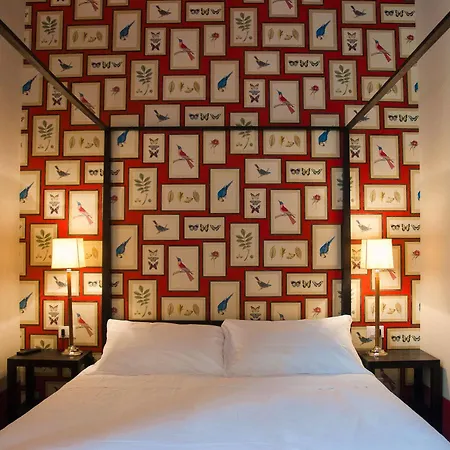 Black 5 Guest house